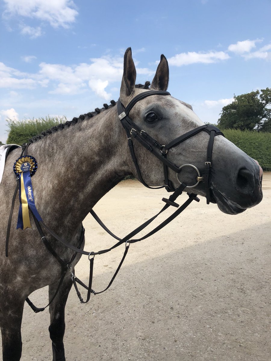JpSheffield's tweet photo. Busy week this week riding 6 4&amp;5 yr olds in the BYEH class at Field house narrowly missing out on qualifying, then 7 horses over 3 days at Aston Le Walls 5 double clears including 2 first time advanced horses! https://t.co/E1BJOjQ9xb