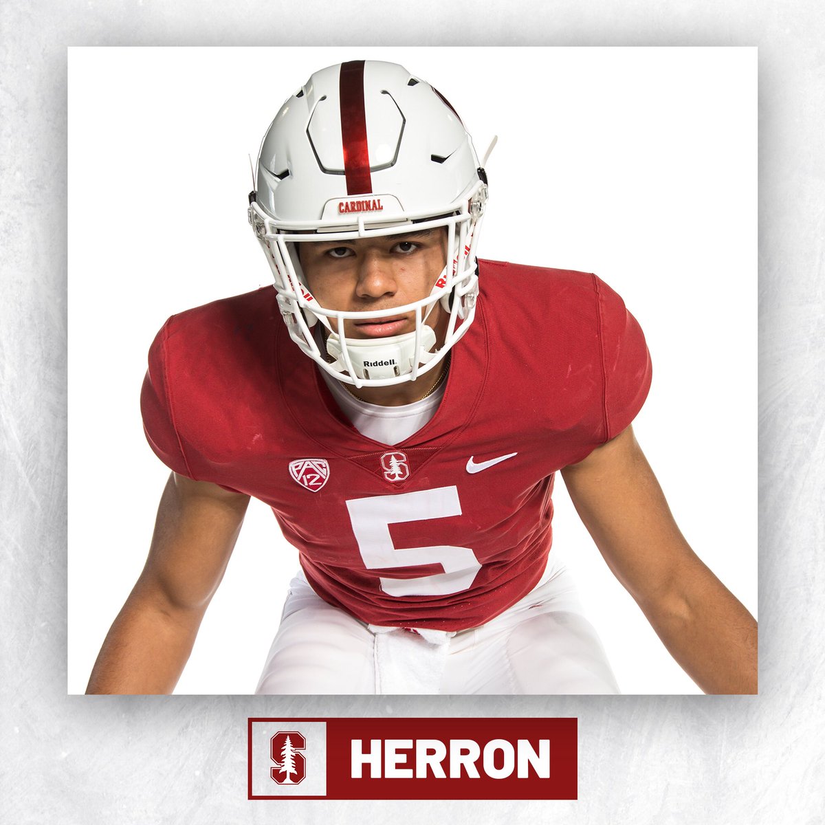 “For I know the plans I have for you”, declares the Lord, “plans to prosper you and not to harm you, plans to give you hope and a future.” #CardClass19 #FearTheTree