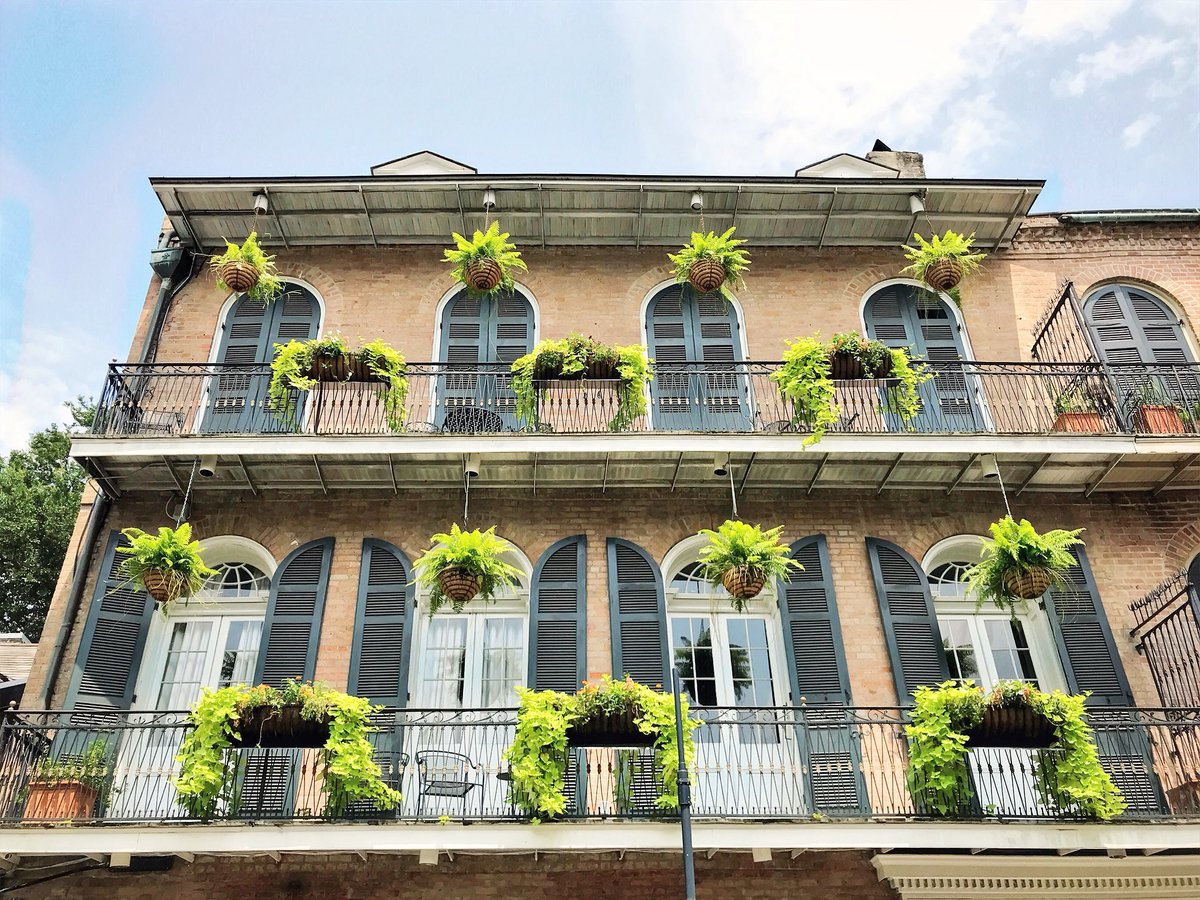 DavidMora's tweet image. Royal Street never disappoints. 🌞🌳⚜️🌿✨ #neworleans #onetimeinnola