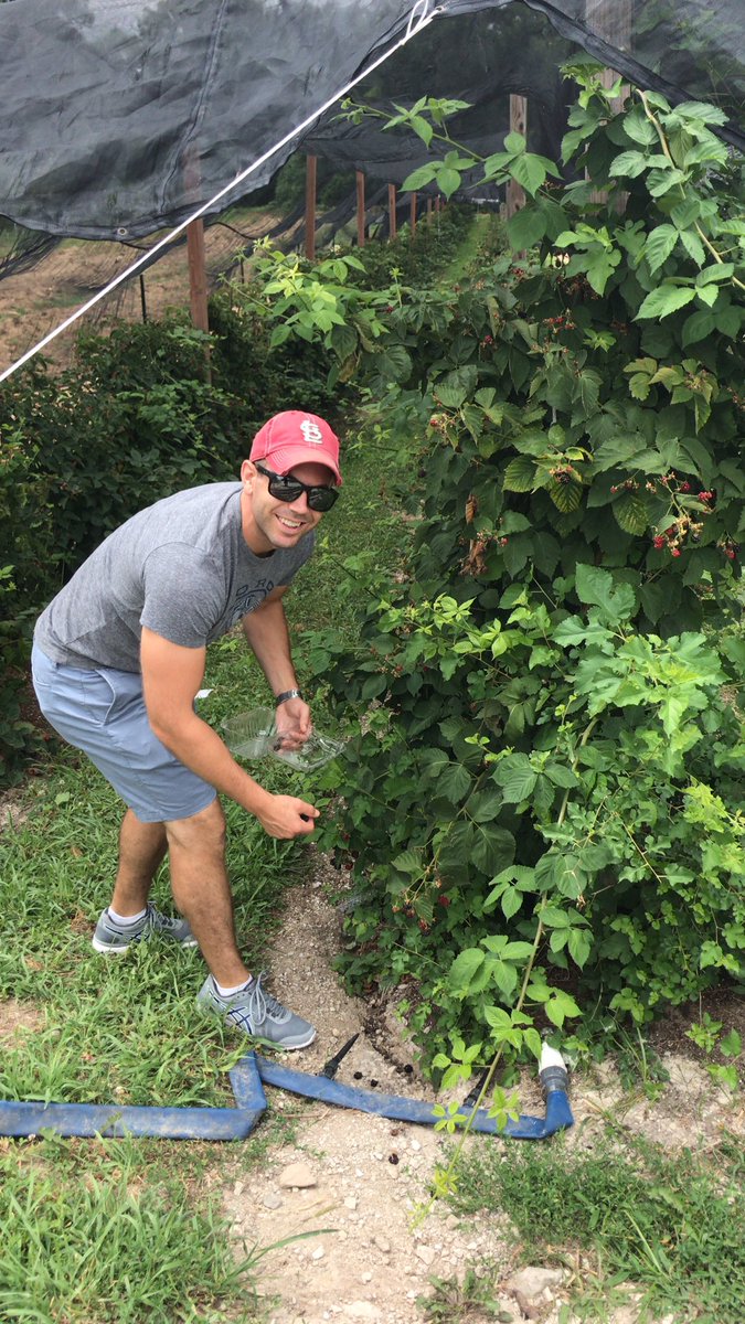 blackbearcider's tweet photo. Happy Monday everyone! Made a pretty good haul yesterday...more blackberries for Fall 👍
#berrypicking #missouri #homegrown #cider #coferment https://t.co/kxn0Kdhw6N