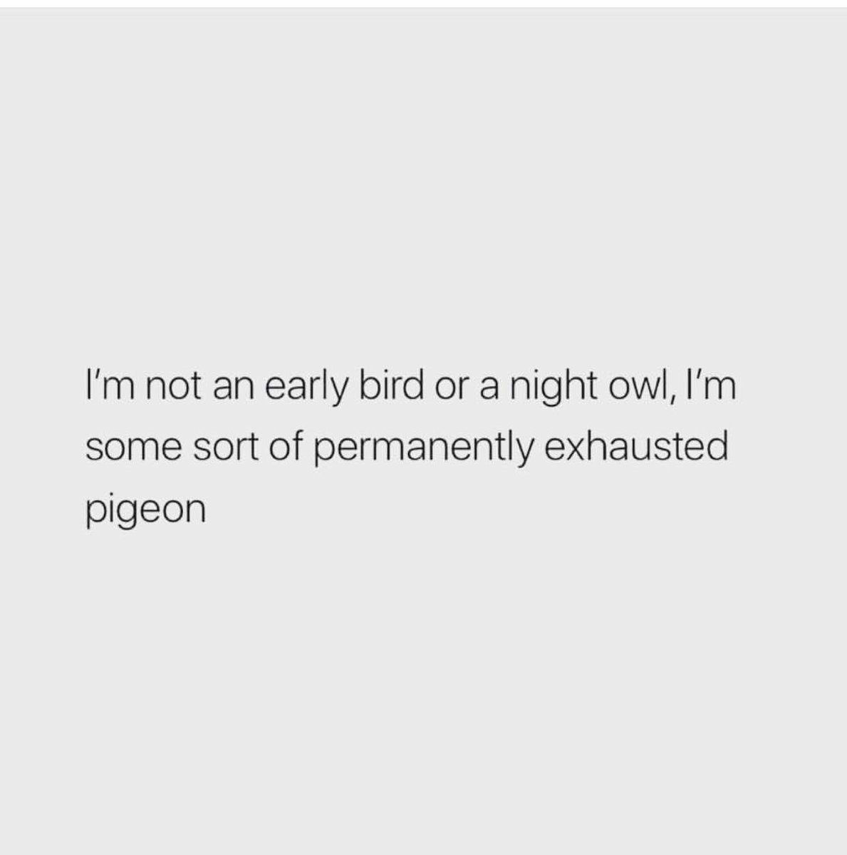 Mandyx91's tweet photo. 😴😴 https://t.co/14ZHeism4l