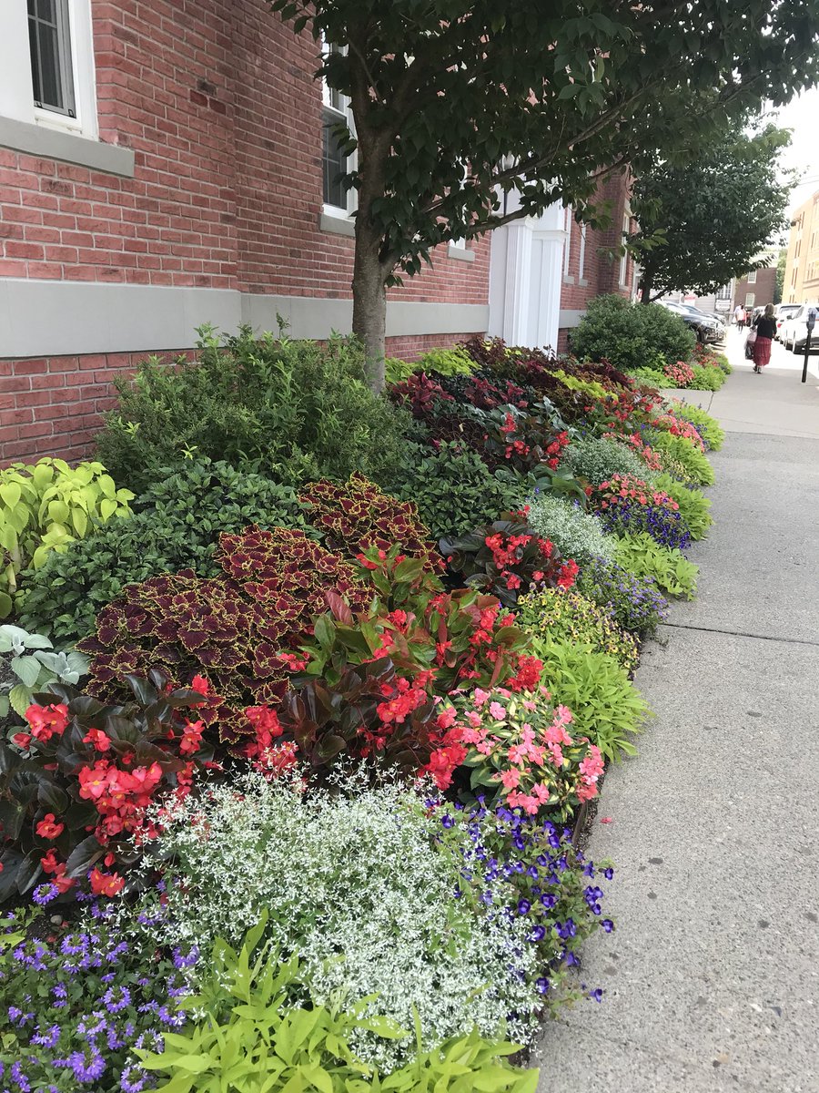 LindsayGE's tweet photo. Not challenge related post, for once. Just “smelling the roses” so to speak. Every once in a while it’s nice to pick your head up and notice the rest of the world. Happy Monday! #basecampac #summerofmove2018 @FreeTheYoke https://t.co/Jknnuf1bMX