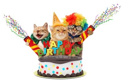 Happy Birthday    Have a great day! From all of us P-Dubbers at the Paul Wesley Board at FanForum   