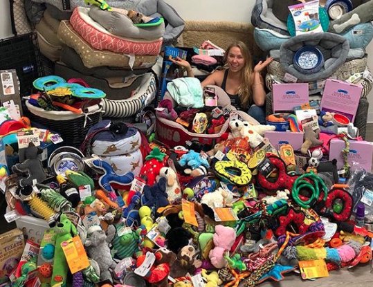 Kaley Couco and Karl Cook Give Their Wedding Gifts to Dogs in Need bit.ly/2O9WIIM #PawWorks #livebeyondthedogpark #kcsquared #getleashed #getleashedmag