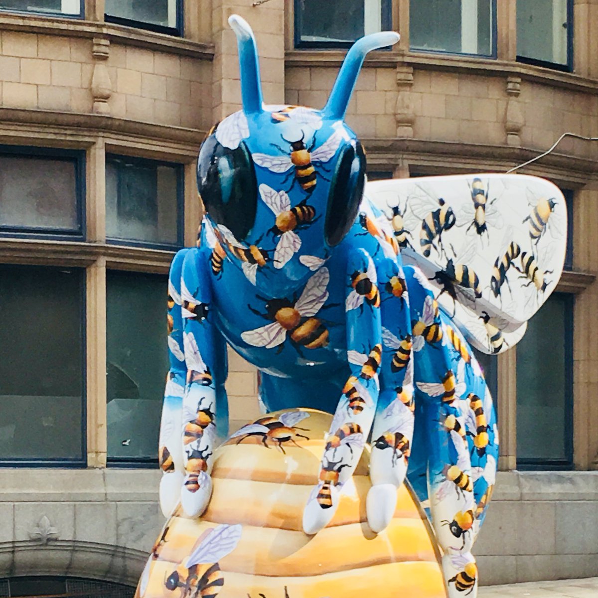 lesleymcpherson's tweet image. Our beautiful #WaggleDance bee looks wonderful in Balloon Street! @beeinthecitymcr @CooperativeBank @JudithBerrill #BeeInTheCity