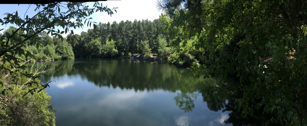 c_robertkelly's tweet photo. Little hike in eastern Georgia. Check out our nonprofit we are hear to help!! #MondayMotivation #adventure #AdventureTime #adventuretravel #anxiety #CSRA #follow #donate #hike #hikingadventures #hikingadventures #hikingawayfromptsd #Gofundme https://t.co/X3ujR59pf9