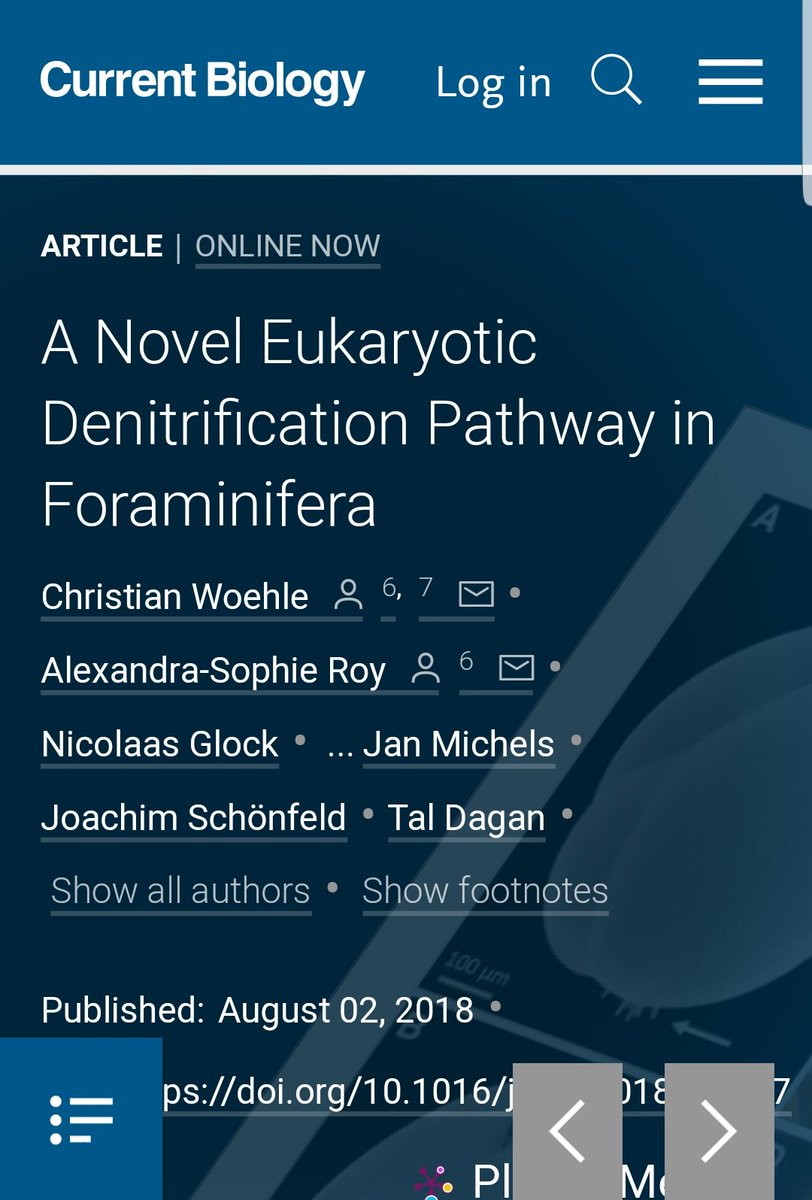 msmjetten's tweet photo. Congrats for great scientific sleuthing. #Denitrification in #foraminifera resolved 12y after 1st observations. #nitrate #nitrite #nitric oxide #nirk #norz https://t.co/X1ANi6ZuCm
https://t.co/ArEkqWhtde https://t.co/KGo3AfxSB8
