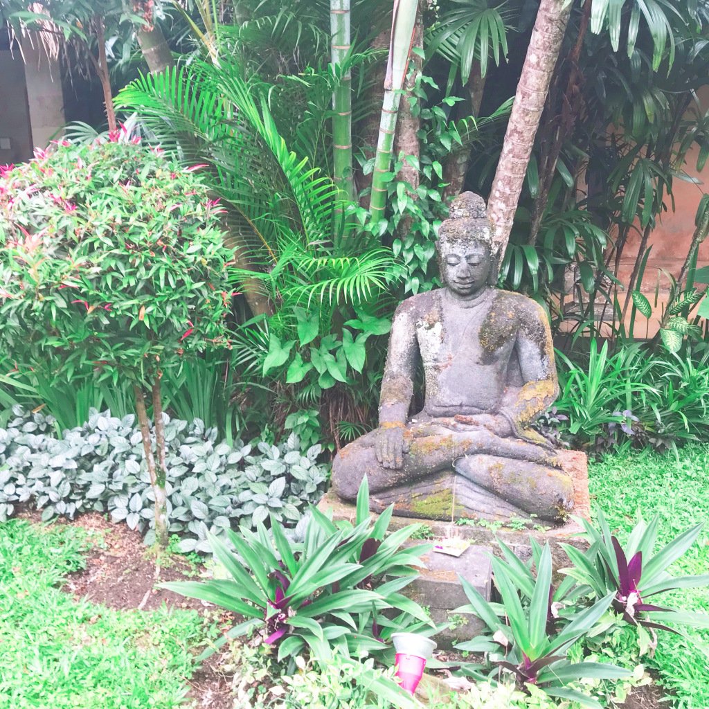 The little things that make life brighter theperthproject.com/2018/08/07/the…