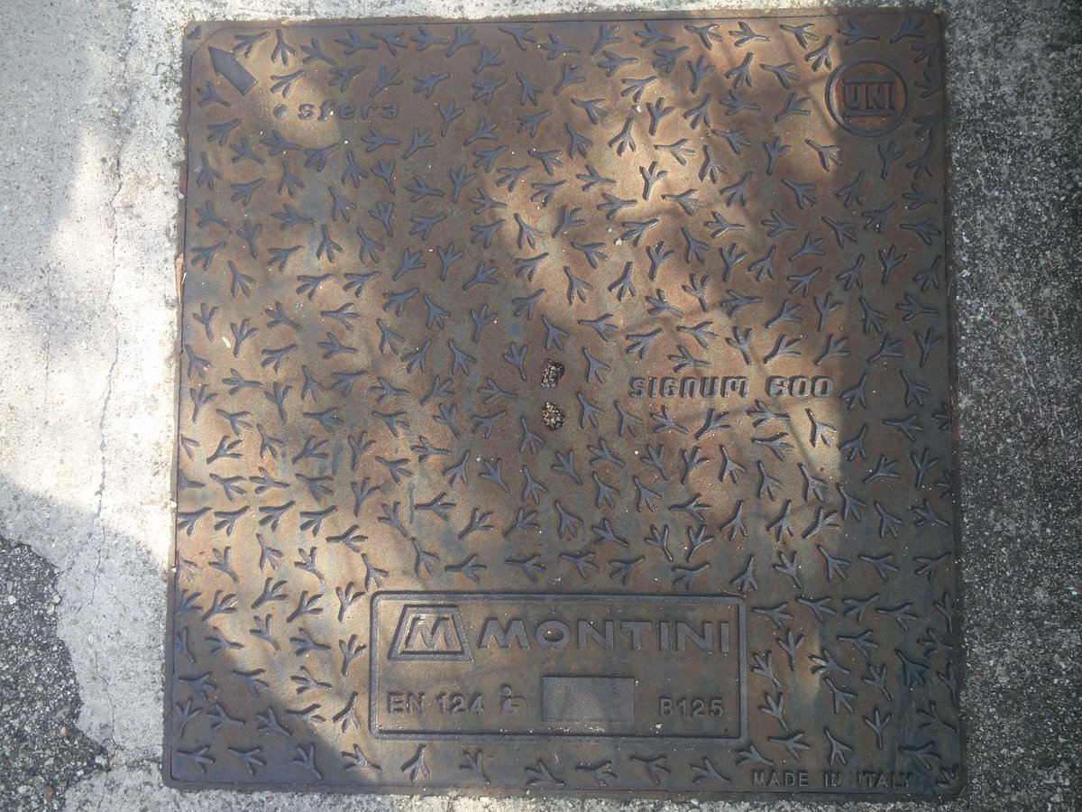 museaholic99's tweet photo. @jeremycorbyn saw this manhole cover in Italy and thought of you 😅! #Labour https://t.co/qFn4Cl4hT6