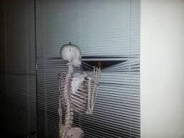 Me waiting for Shawn Mendes to wish me a happy birthday tehe 
