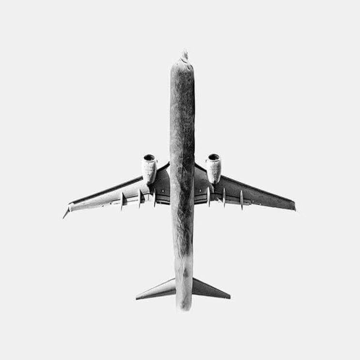 سافر .. انت لست شجرة