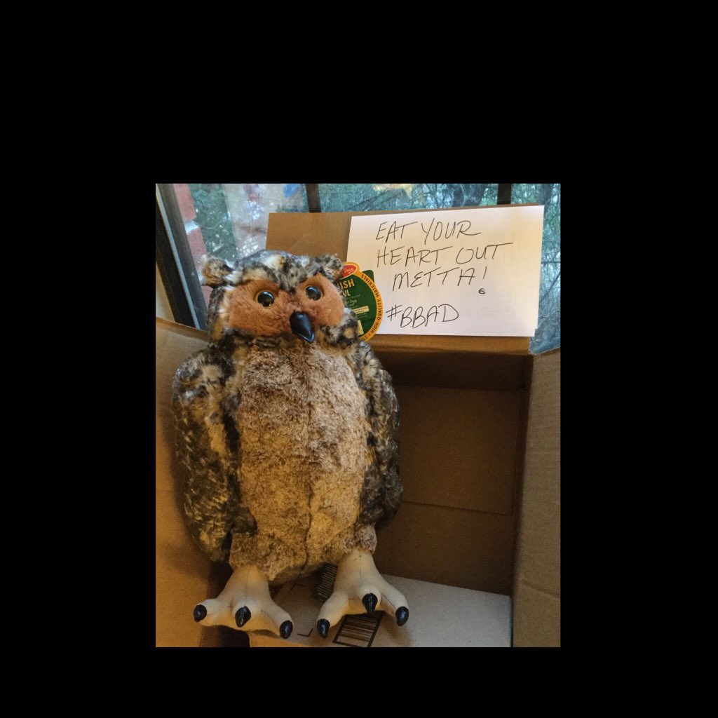 aim4starz's tweet photo. @Callahanfamily5 @BBADOrwell @JENisJUICY I had to take matters into my own hands and hit up Amazon for my own Orwell swag 🦉 #GeorgeClone-y. Still, my George needs a @PopTV pin! (Hint hint Orwell!😘) #bbad #bb20 @BBADOrwell @PopTV https://t.co/waazCv855Z