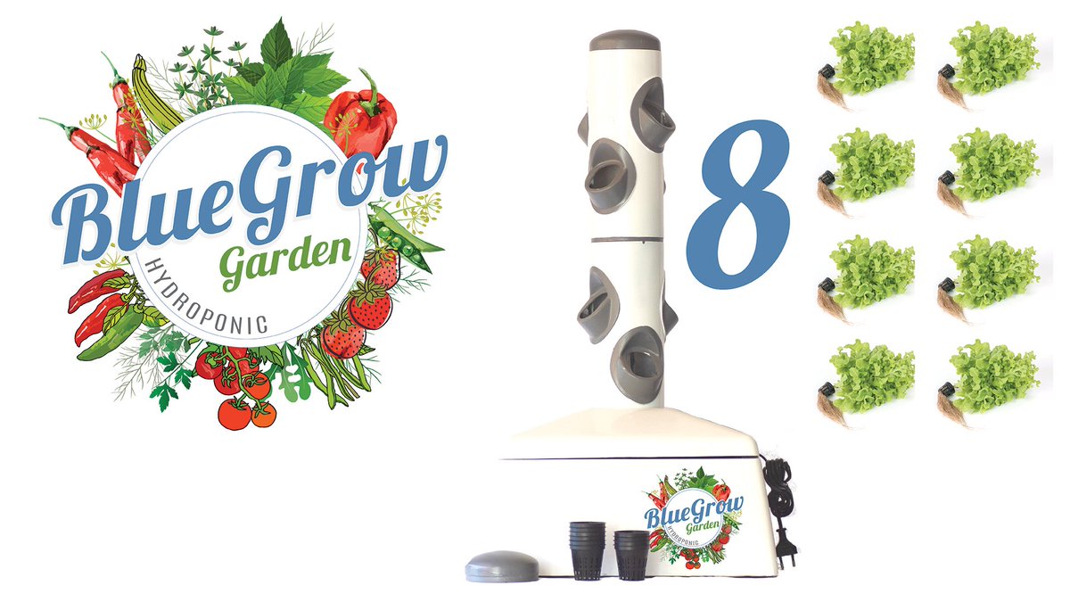 BluegrowGarden's tweet photo. Our BlueGrow Garden can assemble in under 10m, is low on water, space and electricity use, and grows a variety of greens at fast turn-arounds. Help us take our prototype to factory - pre-order yours now! https://t.co/FGFJoESTtB #gardening #hydroponics #Sustainability #veggies https://t.co/aCaXpAgoZy
