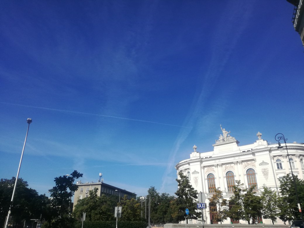 pernambuco778's tweet photo. Orka nad Warszawą
#chemitrals
#teoriaspiskowa ? https://t.co/X4W2B40itZ