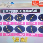 もっと、他にあったでしょ〜が（涙）ヤギが嫌いなわけではないんだけれども…