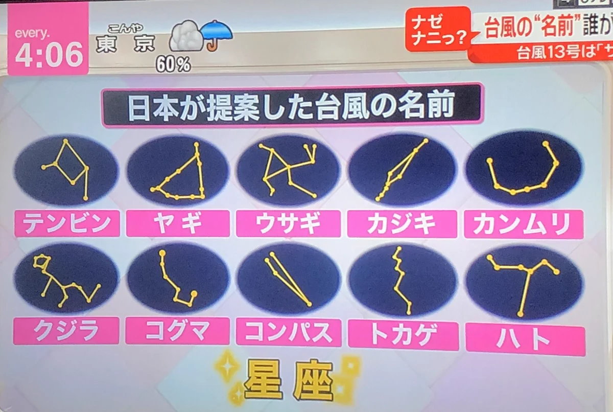 もっと、他にあったでしょ〜が（涙）ヤギが嫌いなわけではないんだけれども…