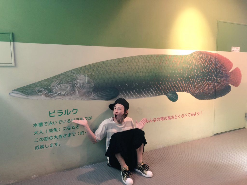 Hidehiro 在 Twitter 上 つ 釣りたい ピラルク 世界最大級淡水魚 T Co 8srgaiolma Twitter