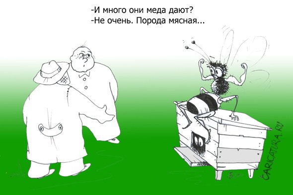 Выборы, картинки мед приколы