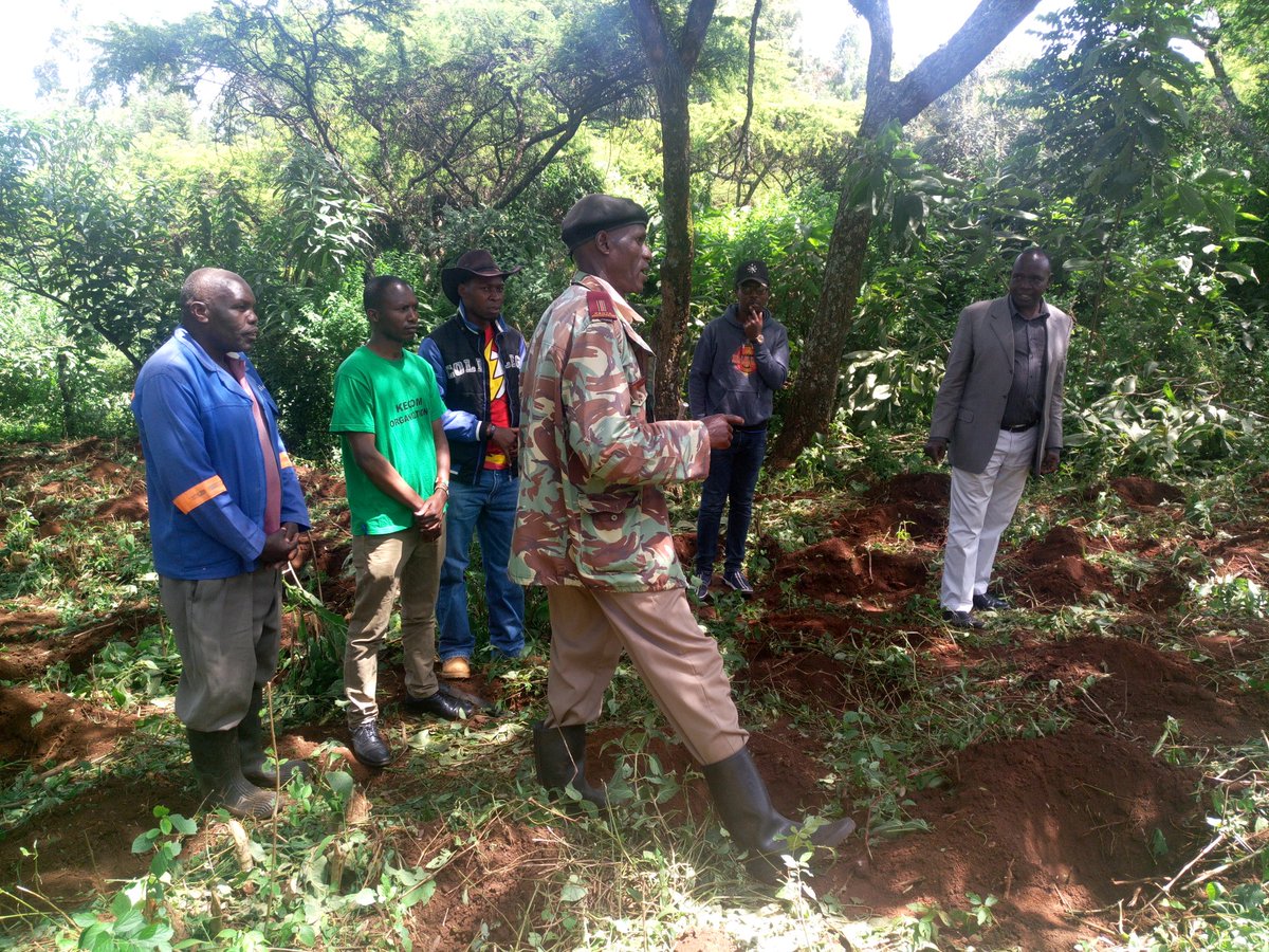 kecom_org's tweet photo. Kecom org-Going green is life. At the 5th conservation program yesterday, 4th August 2018 at Kipkelion ward, Silibwet kondamet https://t.co/QCqRoZJCs7