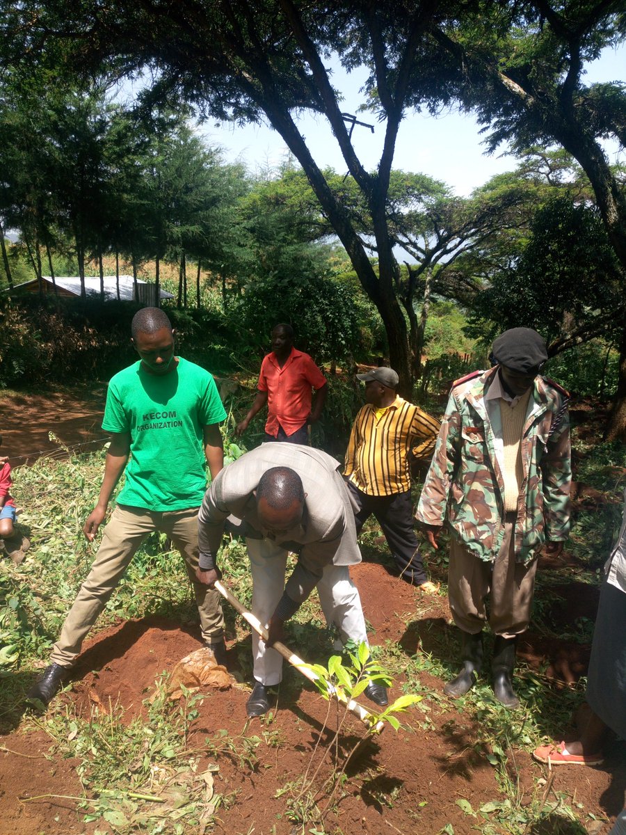 kecom_org's tweet photo. Kecom org-Going green is life. At the 5th conservation program yesterday, 4th August 2018 at Kipkelion ward, Silibwet kondamet https://t.co/QCqRoZJCs7