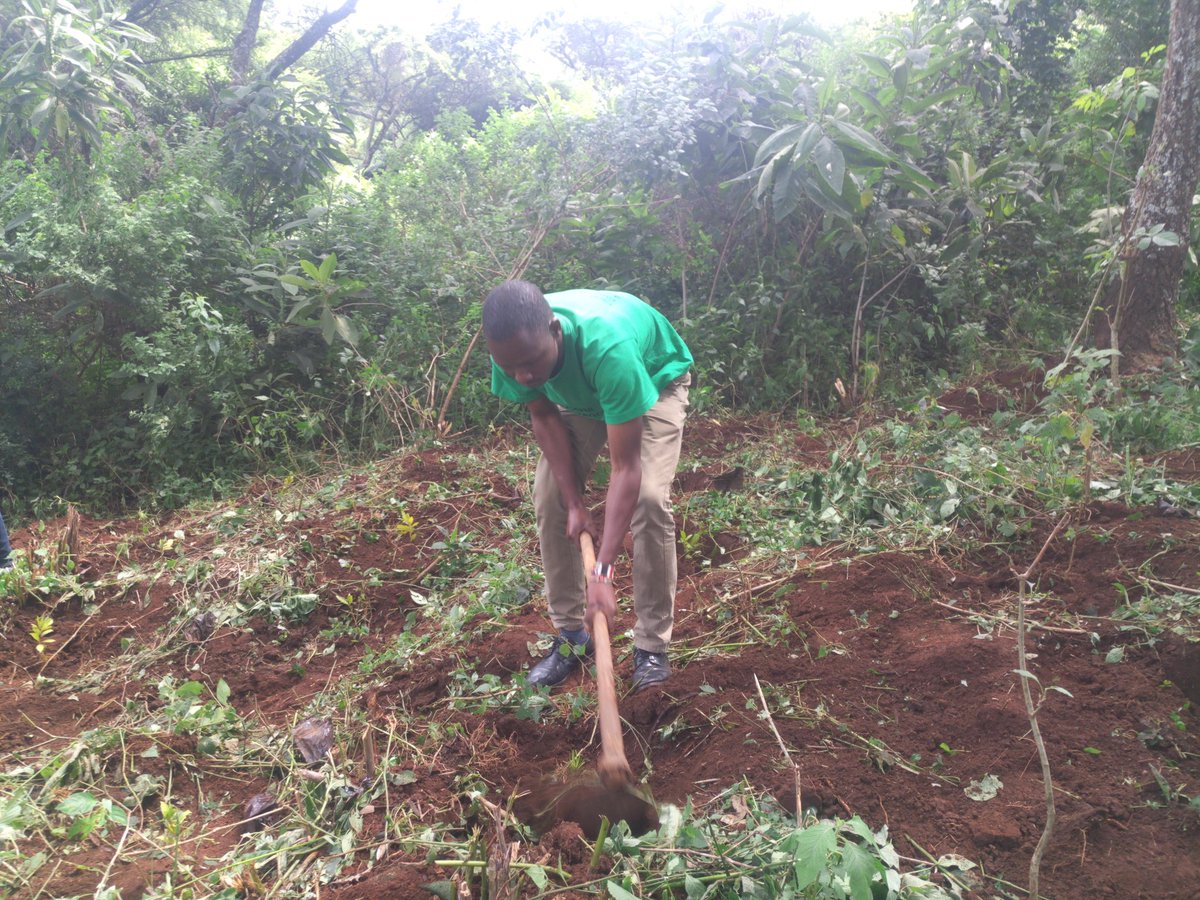 kecom_org's tweet photo. Kecom org-Going green is life. At the 5th conservation program yesterday, 4th August 2018 at Kipkelion ward, Silibwet kondamet https://t.co/W0xwpCe3wz