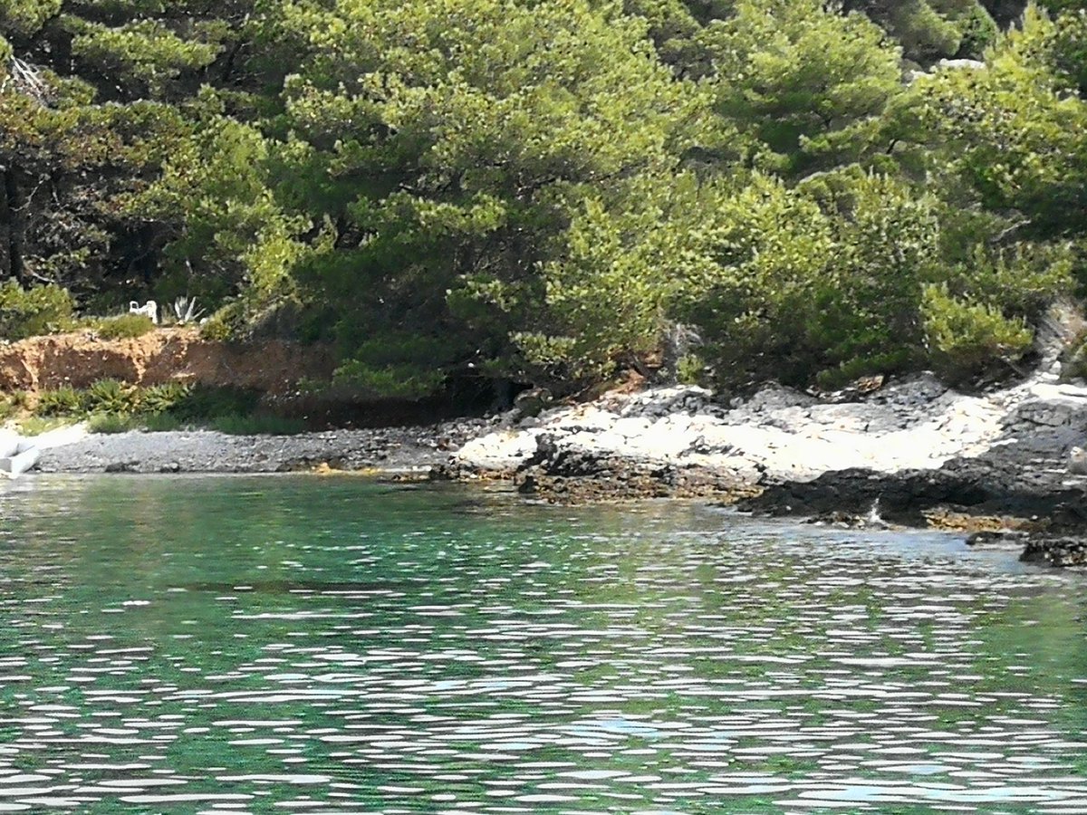 Cosmicstrenght3's tweet photo. Island #SvetiKlement #PakleniIslands Am I #boring or what . ...LOL.... I am in heaven... really... Crystal clear waters EVERYWHERE!!!💎💙😘 Btw. Here's my Yacht! 🛥️😜🤣 https://t.co/jAMpPlyMWY