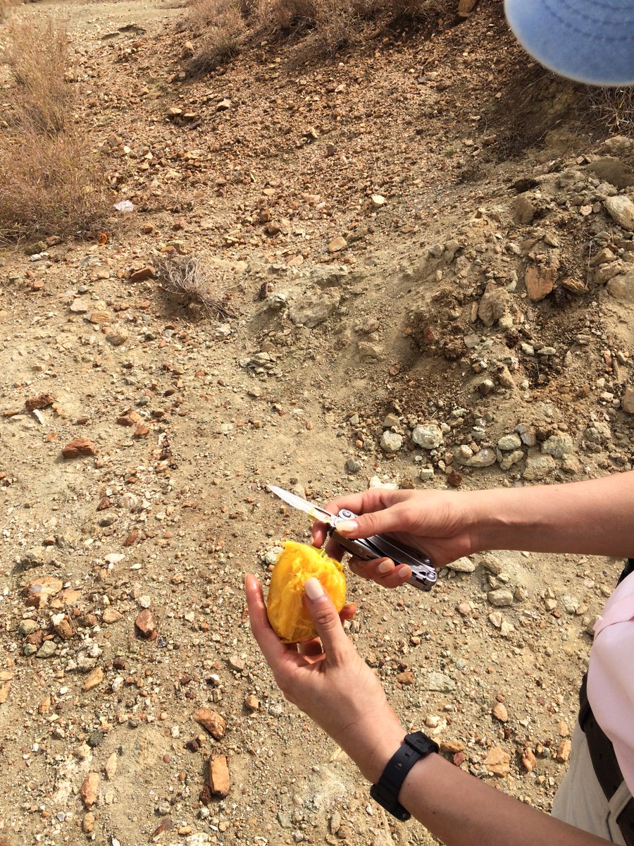 PlanetaryScienceLab tweet media