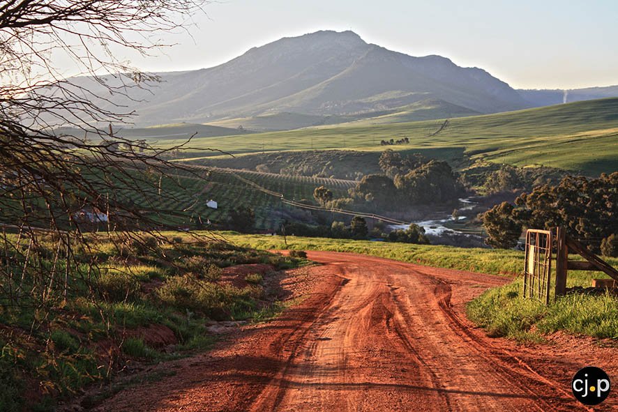 ChrisJPhoto (@chrisjphotosa) on Twitter photo Red road in the black land #Swartland magnificent winter in the #Weskus <a href="/noboundariescap/">noboundariescape</a> <a href="/PiketTourism/">Piketberg Tourism</a> <a href="/Bergriviertour/">Bergrivier Tourism</a> <a href="/planetswartland/">Swartland Tourism</a> Red road in the black land #Swartland magnificent winter in the #Weskus <a href="/noboundariescap/">noboundariescape</a> <a href="/PiketTourism/">Piketberg Tourism</a> <a href="/Bergriviertour/">Bergrivier Tourism</a> <a href="/planetswartland/">Swartland Tourism</a>