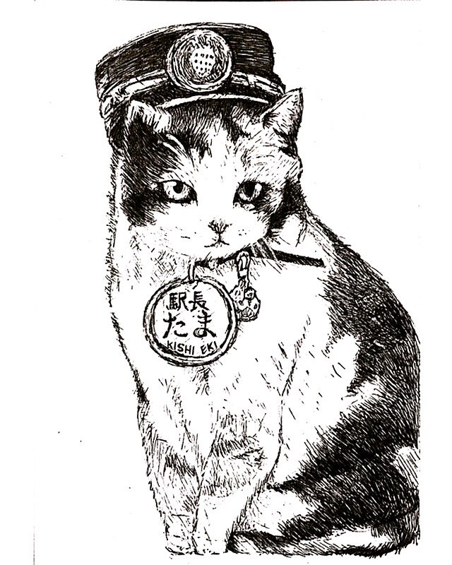 猫いらず たま駅長 ネコ駅長 猫 猫イラスト 模写 似顔絵 貴志駅 ねこ駅長 T Co F5vghnf6cl Twitter