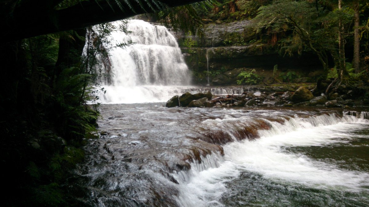 TraversingTas's tweet photo. Liffey Falls packs a punch. In your 45 minute walk you'll experience a lot of beauty, a bit of exercise and a lot of refreshing waterfall goodness. https://t.co/F6qEuVnX1h

#liffeyfalls #waterfall #getoutside #adventureawaits #hike #discovertasmania
@GtWesternTiers @TasmaniaParks https://t.co/yFIGF1c7Pk