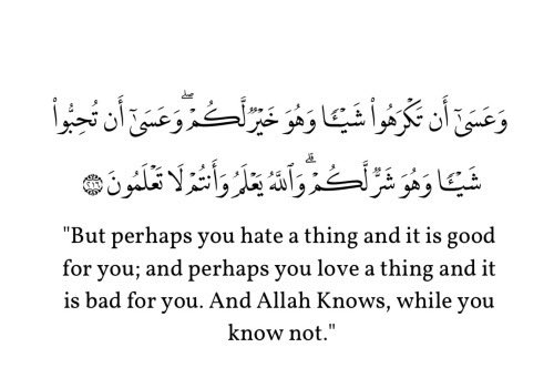 BITO_WALE's tweet photo. After reading these verses, quote this tweet with a lesson from any of the verse...

... Retweet and include the #Tag

#LessonFromQuran https://t.co/yswstSivQf