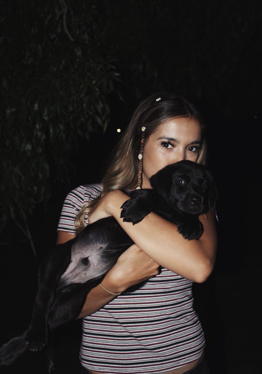 taelor_kiepke's tweet photo. Whatta good boy;)🖤 https://t.co/GuEgSaqIkC