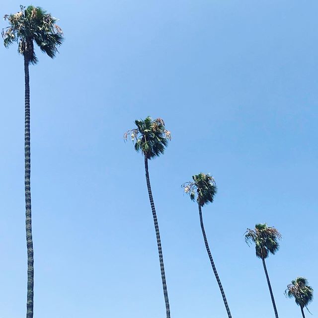 brunchpants tweet media