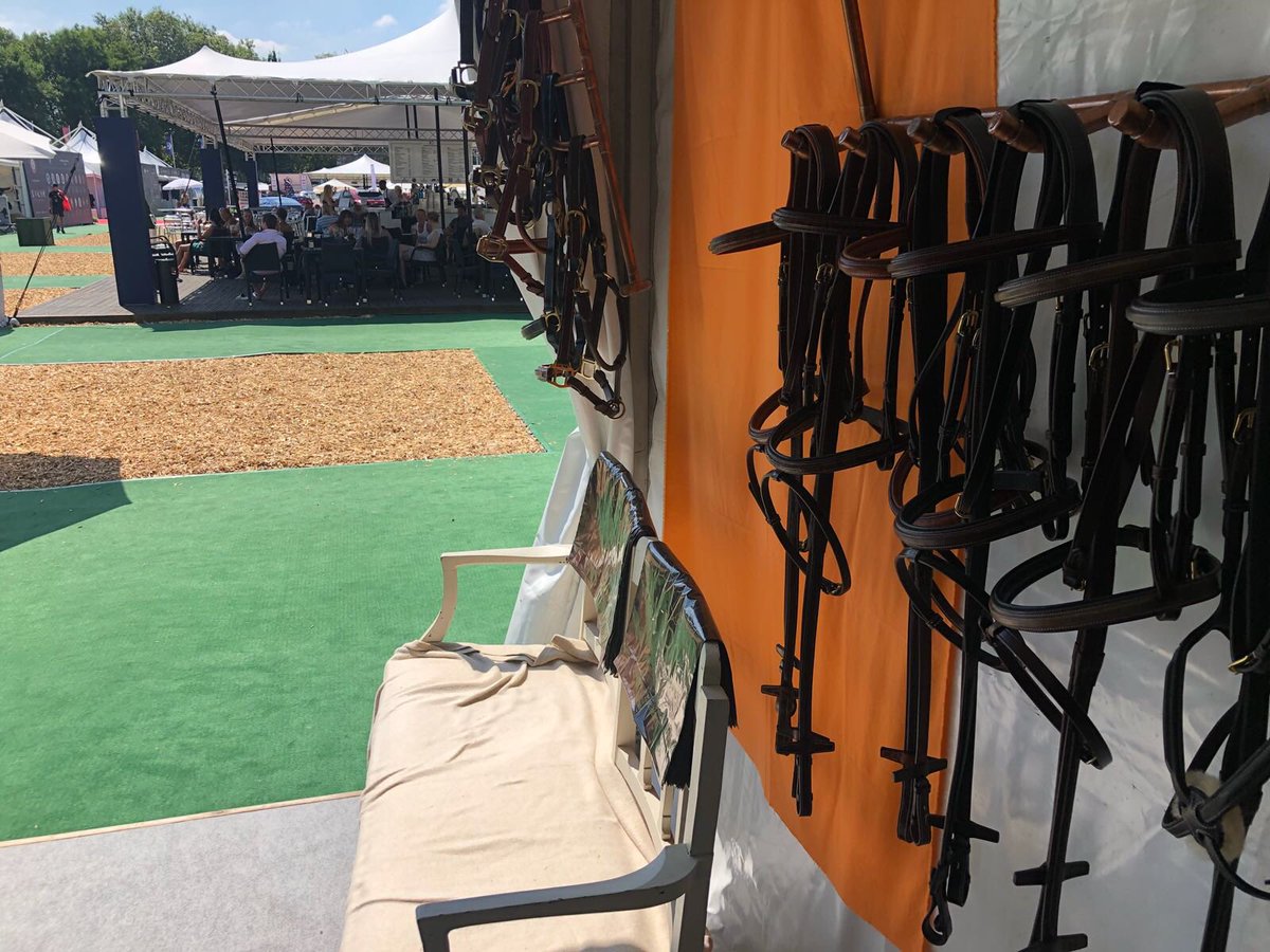 VERO Equestrian tweet media