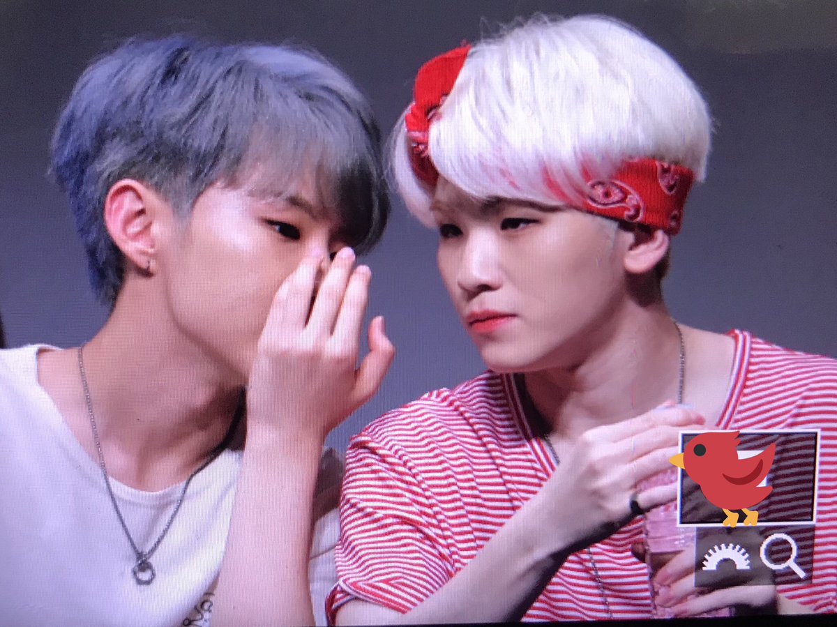 Is it just me or soonhoon is really close this past week