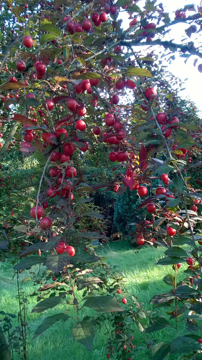 KlaudiaAmsel's tweet image. ✝️Guten  Morgen， Alles Gute  zum  Deinem  Ehrentag! schönen Urlaub!
Lobet Gott。
▶️youtubefb.com/watch?v=VKaCvr…
#dieWahrheit #Evangelium #rette💐💐