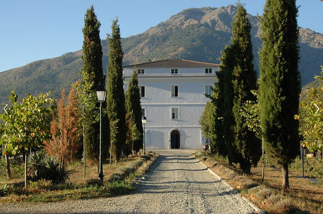 En quête de nouvelles sensations ? Que diriez-vous de partir à la découverte des vignes gorgées de soleil ainsi que des 9 appellations d'origine contrôlée (AOC) recensées en Corse, le tout aux côtés de nos propriétaires passionnés ?
ow.ly/2uvO30laWAN
#GitesCorsica