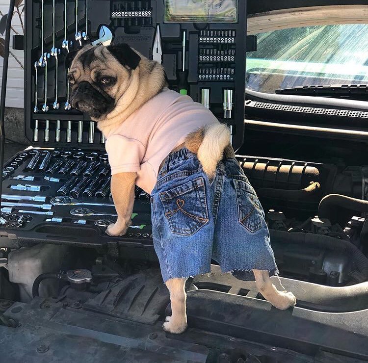 worIdspaces's tweet image. im sexy and i know it ch