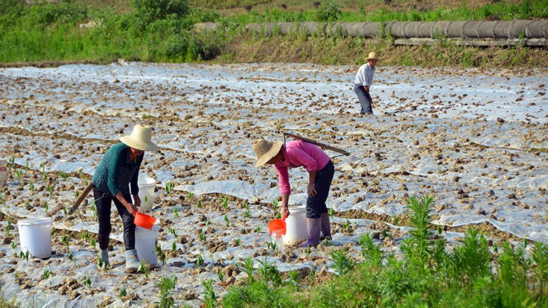 World Bank (@worldbank) on Twitter photo Investing in the prevention & control of farm #pollution can help ensure a sustainable food system. Learn more in new <a href="/WorldBank/">World Bank</a> report: wrld.bg/5WmV30le2Ll Investing in the prevention & control of farm #pollution can help ensure a sustainable food system. Learn more in new <a href="/WorldBank/">World Bank</a> report: wrld.bg/5WmV30le2Ll
