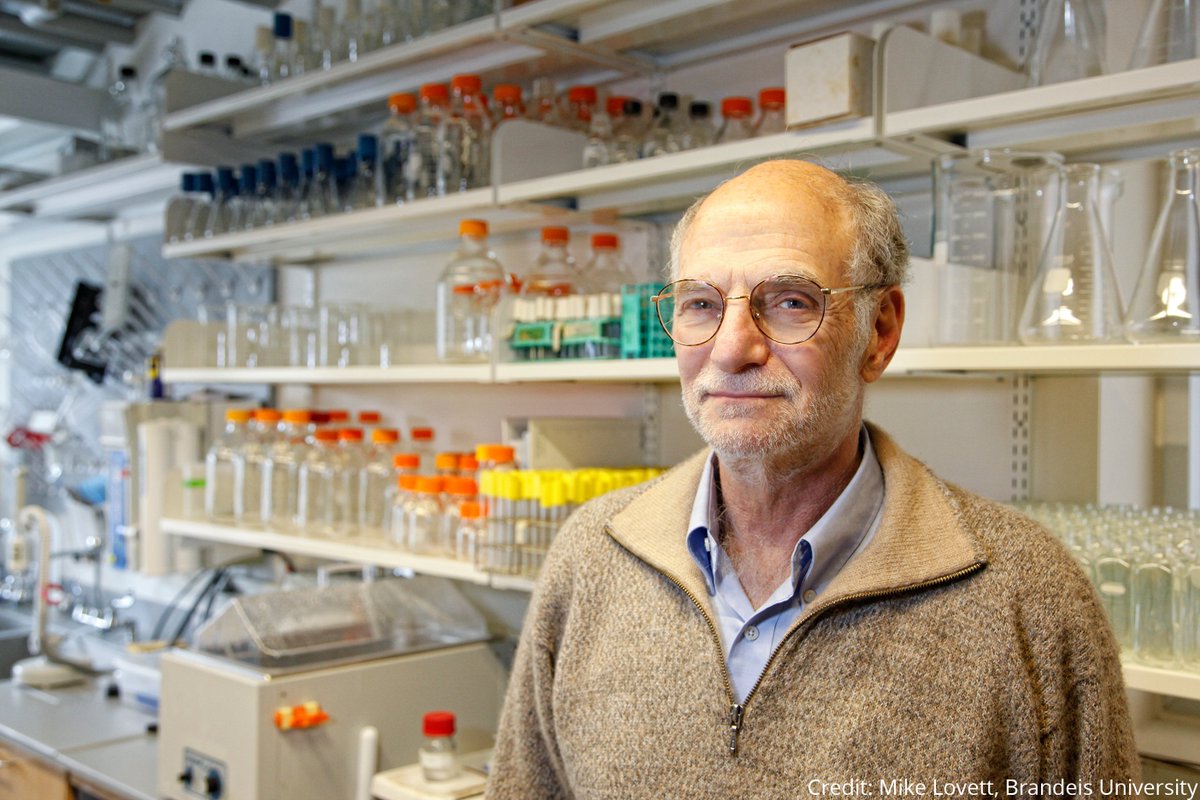 Michael Rosbash (pictured), together with Jeffrey C. Hall and Michael W