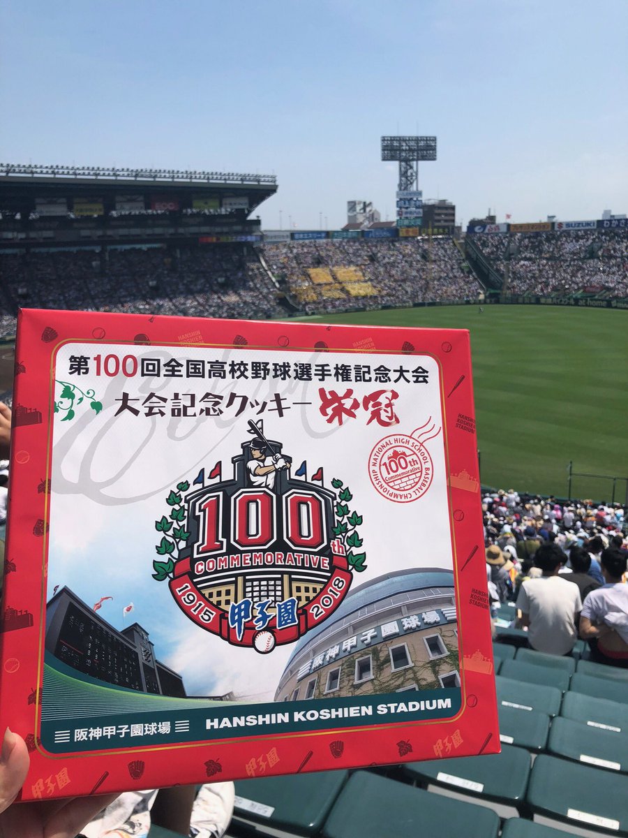 甲子園の土　阪神甲子園球場　80周年記念 阪神甲子園球場 開設80周年 記念ピンバッチ セット - 「宝の森