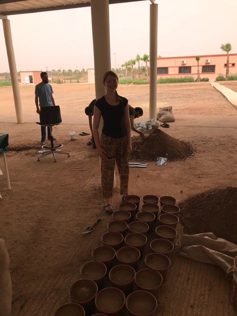 EmilyS61073361's tweet photo. Marelli Lab working with local farmers in Morocco to fill pots for experiments on finding solutions to salinity stress on chickpeas, one of the most important food crops of Morocco and the main ingredient of my favorite crudités dip! #CEESummer https://t.co/XEsJQXVXF1