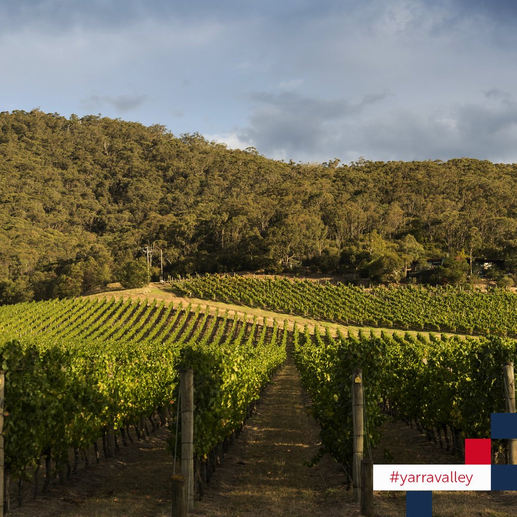 Fine wines and great scenery...

A few of things that make the Targa Florio Australian Tribute one of the best Lifestyle Touring events for the classic car enthusiast.

28 November - 2 December 2018
#targaflorioaus #yarravalley #wandervictoria