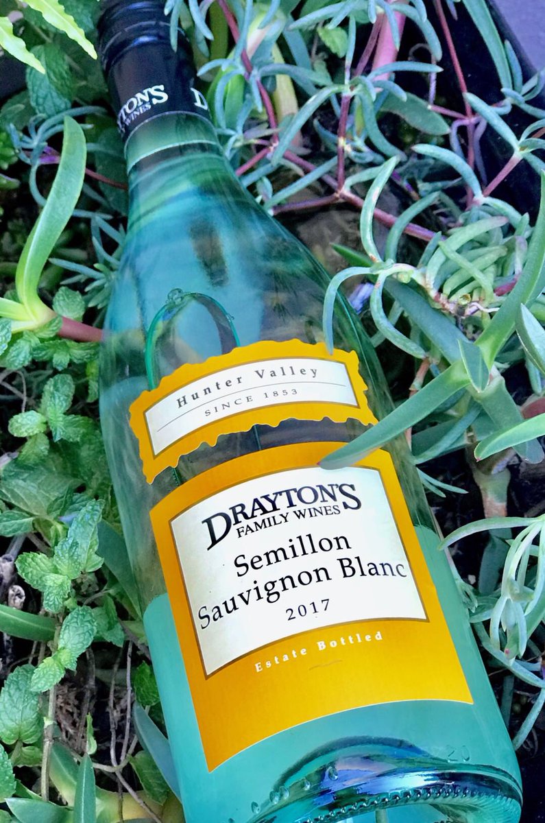 MasterpieceWine's tweet photo. 👒🍃The weekend turned out relaxing and refreshing. A sensational Semillon Sauvignon Blanc complements the day to a good finish. #cheers for you an amazing #sunday!💚💛
.
#winemeup #semillonsauvignonblanc @draytonswines #draytons #australia #country #australianmade #enjoy https://t.co/xuDZif6KZj