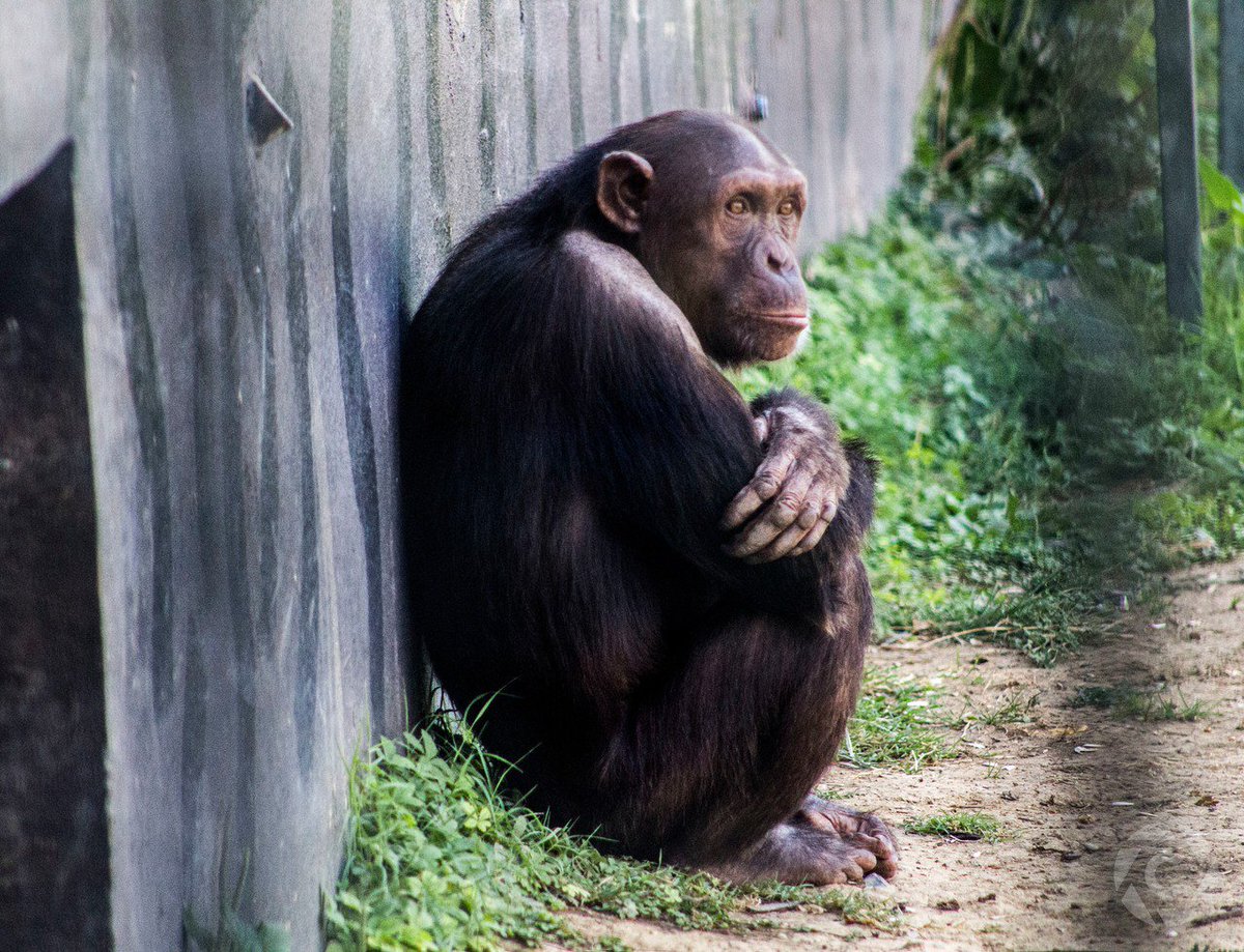 feeleengpost's tweet image. 