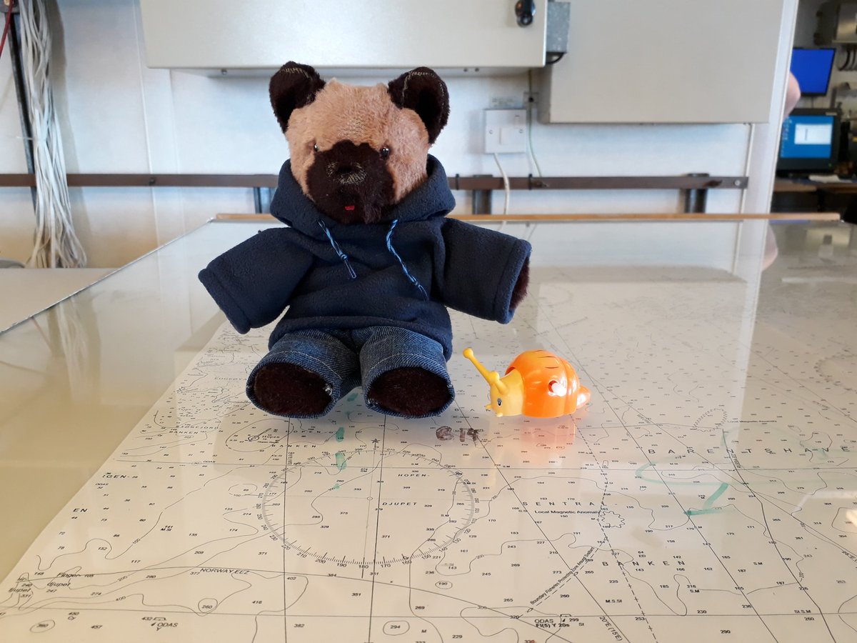 LT_ResearchBear's tweet image. This is Shelly. He's been carefully marking the stations for all of this years #JCR @NERC_CAO cruises, JR17005, 006 &amp;amp; 007. On behalf of @project_ARISE @Arctic_Seafloor #DIAPOD &amp;amp; #ArcticPRIZE we thank you for your tireless efforts.
