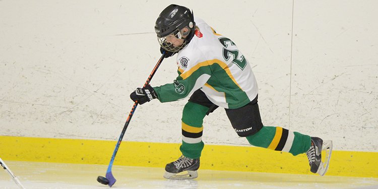 HometownHockey's tweet photo. Does your child need a new hockey stick for the upcoming season? Here are five things to keep in mind. https://t.co/pH1SxPOQFy https://t.co/hrdWwZbFjv
