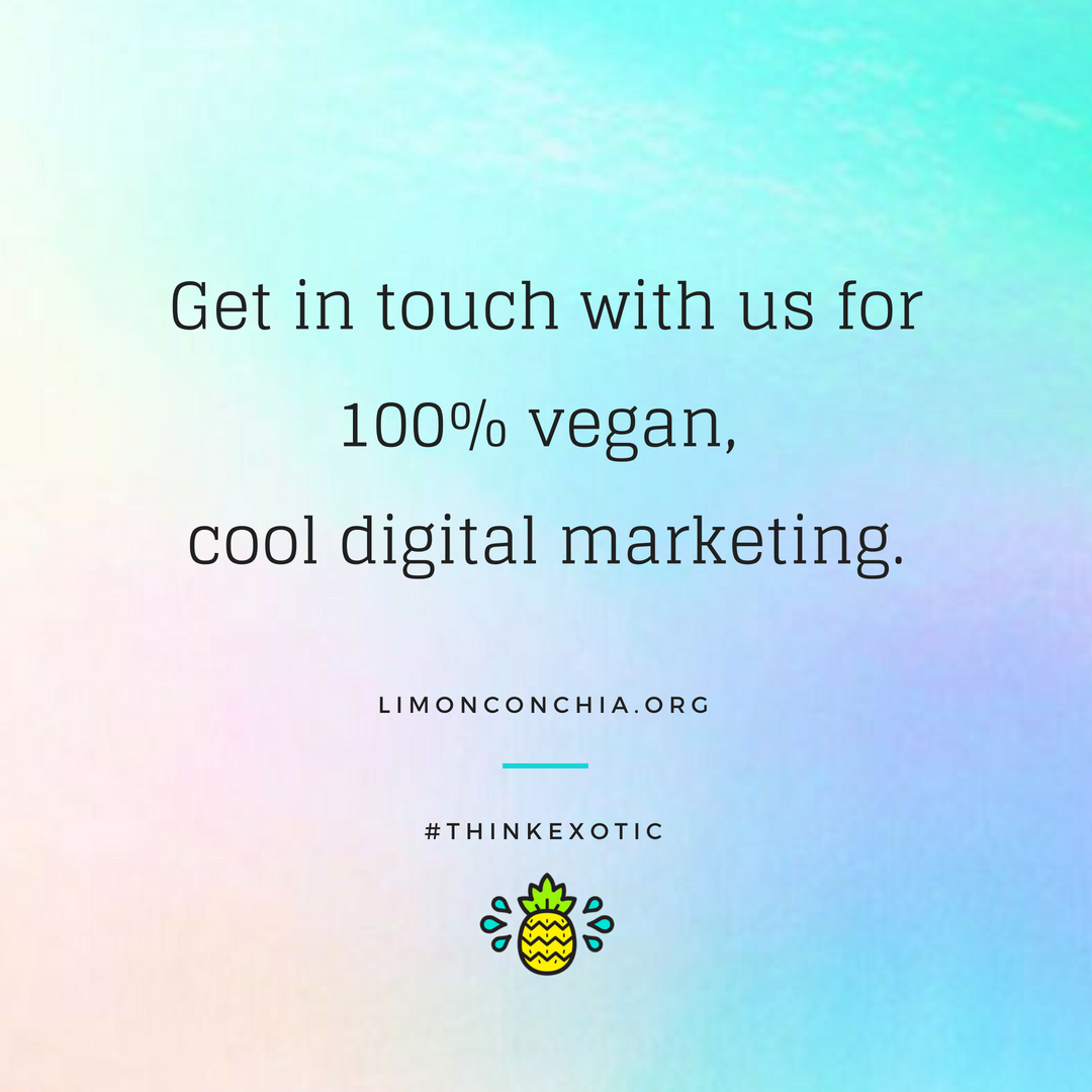 limonconchiamx's tweet photo. Social Media · Web · Branding 🍍
We believe in the power of community 💚 to work with vegan products and people. By default we are also eco-friendly. 🌎🏝️
...
#thinkEXOTIC #GoVegan #ChíaLOVESYOU #DigitalMarketing #Vegan #GoVegan #Tulum #LimónconChía https://t.co/DHbH8LibWu