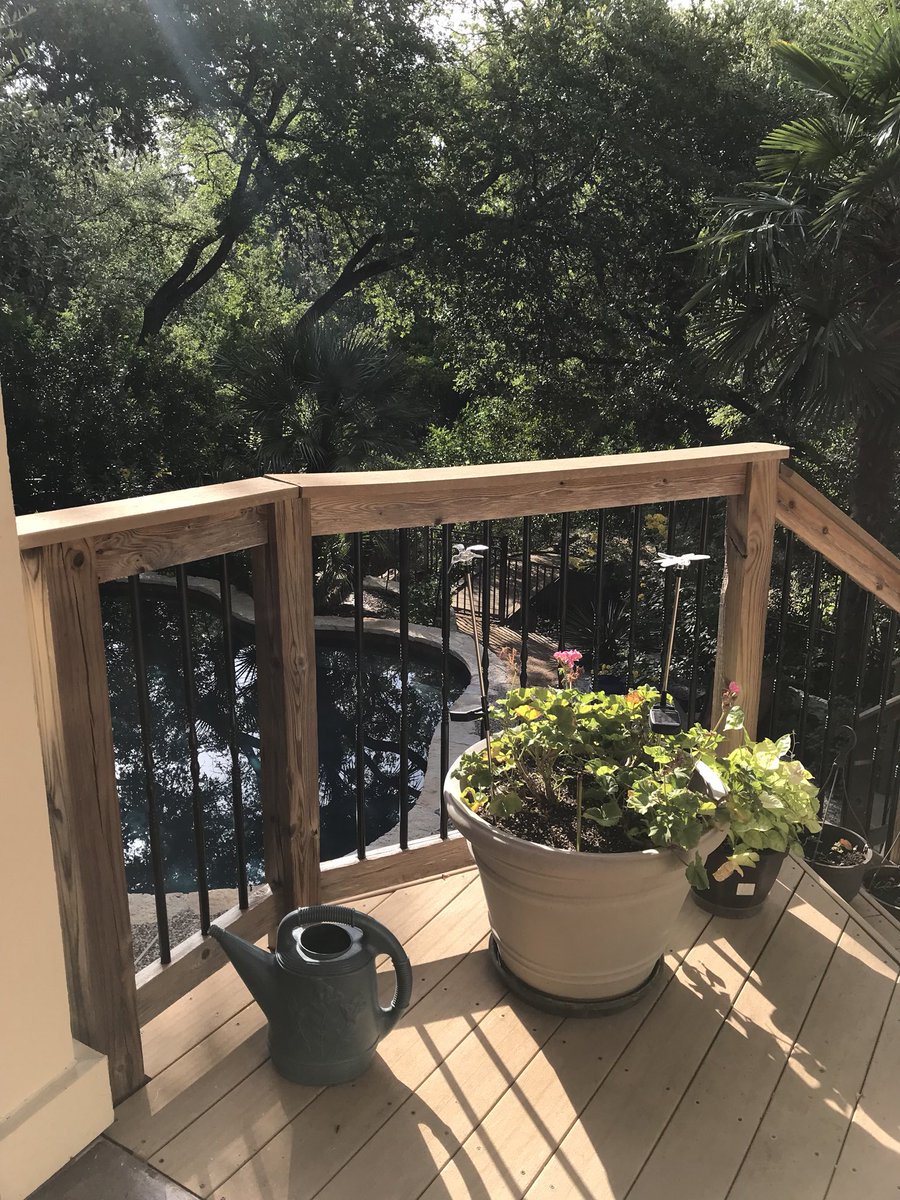 teresadeeter1's tweet photo. Morning ritual - coffee on our peaceful deck #lobosummerselfie https://t.co/AZjoxUiuat
