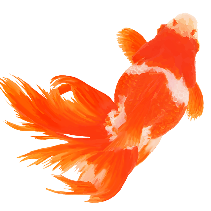 メンダコ 高画質 のtwitterイラスト検索結果 古い順 メンダコ 高画質 のtwitterイラスト検索結果 古い順
